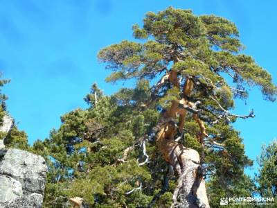 Peña Águila–Valle de la Fuenfría; viajes a tu aire concierto de las velas pedraza viajes grupos